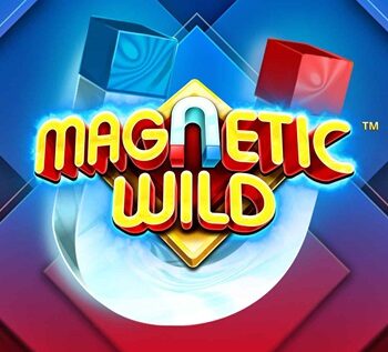 Magnetic Wild