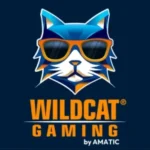 Wildcat Gaming