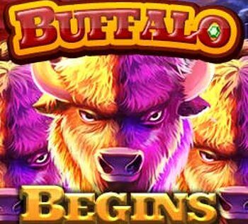 Buffalo Begins Slot Review