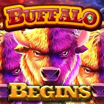 Buffalo Begins Slot Review